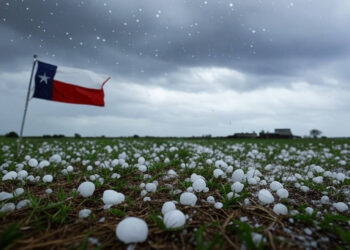 19 Shocking Hail Damage Statistics in Texas